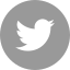 twitter (1)