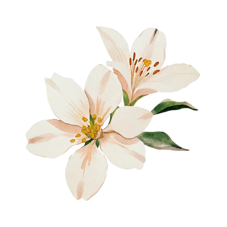 Phú Yên Wedding Logo
