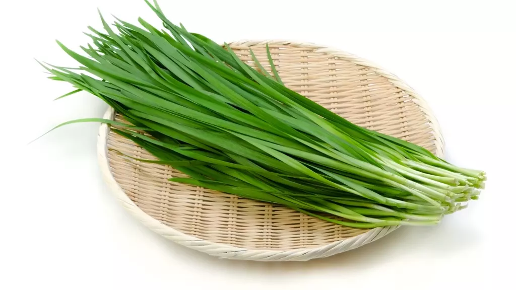 Product image - E05 - Hạt giống Hẹ Lá F1