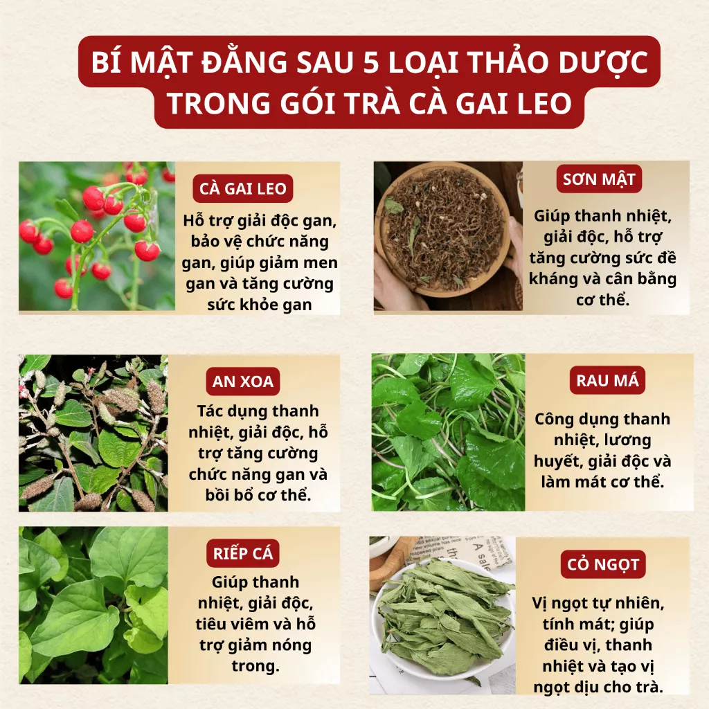 Đánh giá khách hàng