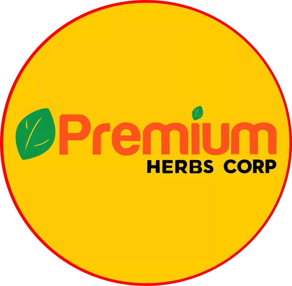 collagen-plus