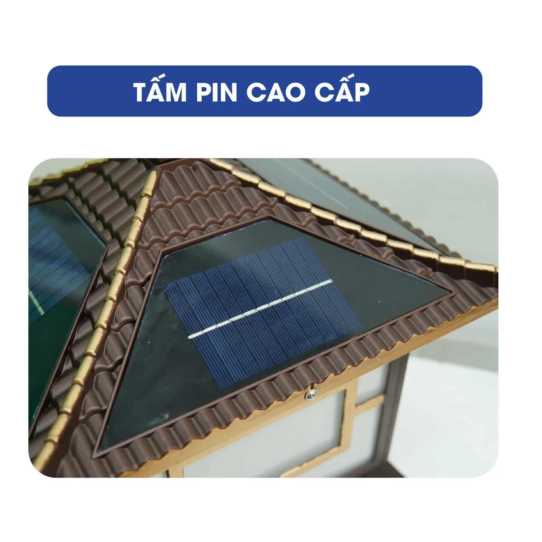 hoat-dong-hoan-toan-bang-nlmt