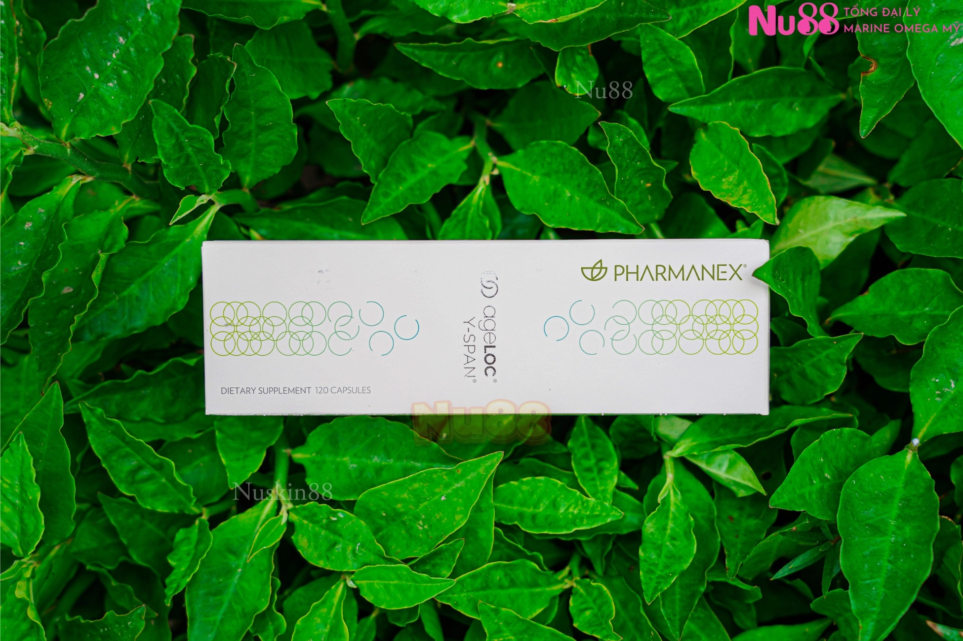 AgeLOC Y-Span Nuskin