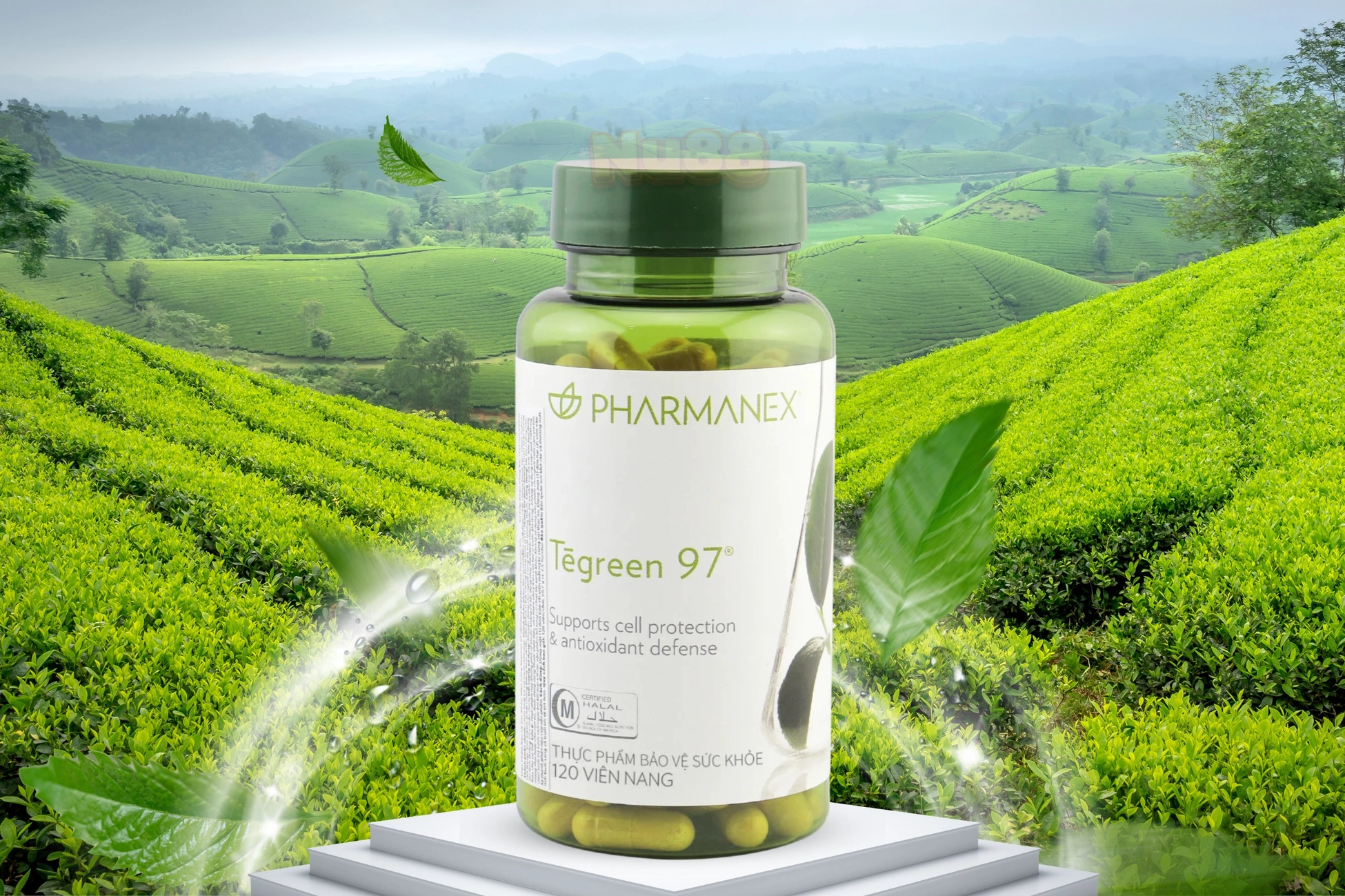 Tegreen 97 Nuskin