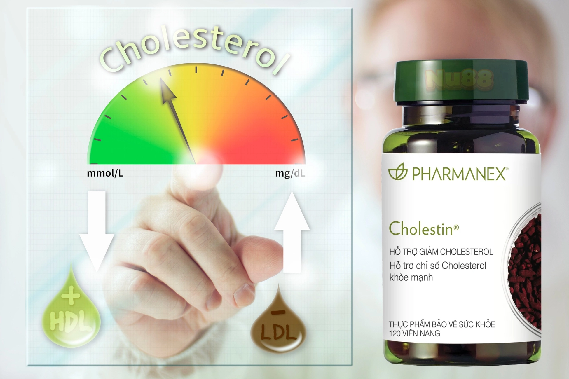 Cholestin Nuskin có tốt không?