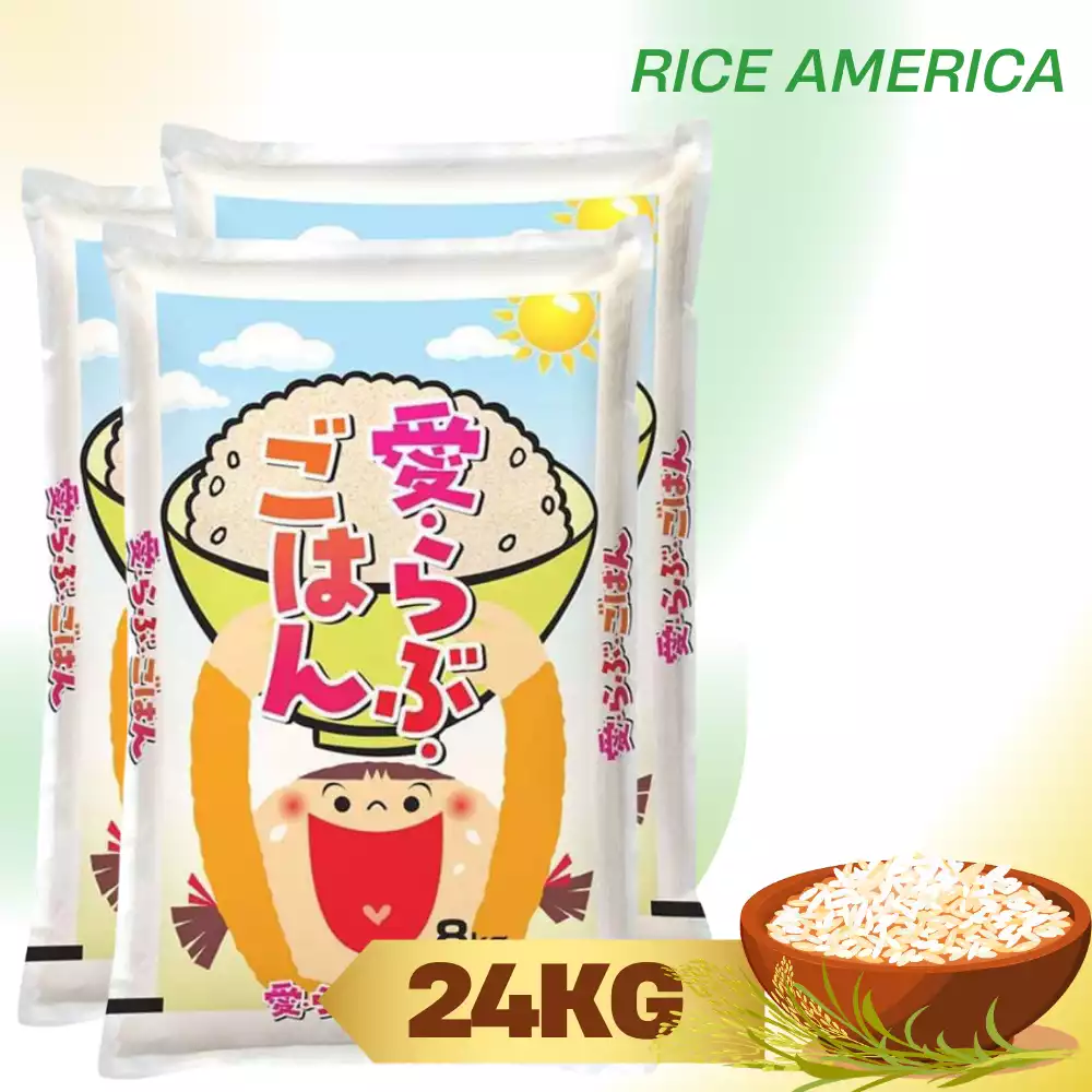 Rice America | Nami Food