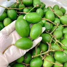 Cóc Non Tu Farm: Giòn Ngon, Chua Thanh Tự Nhiên Giải Nhiệt Hè