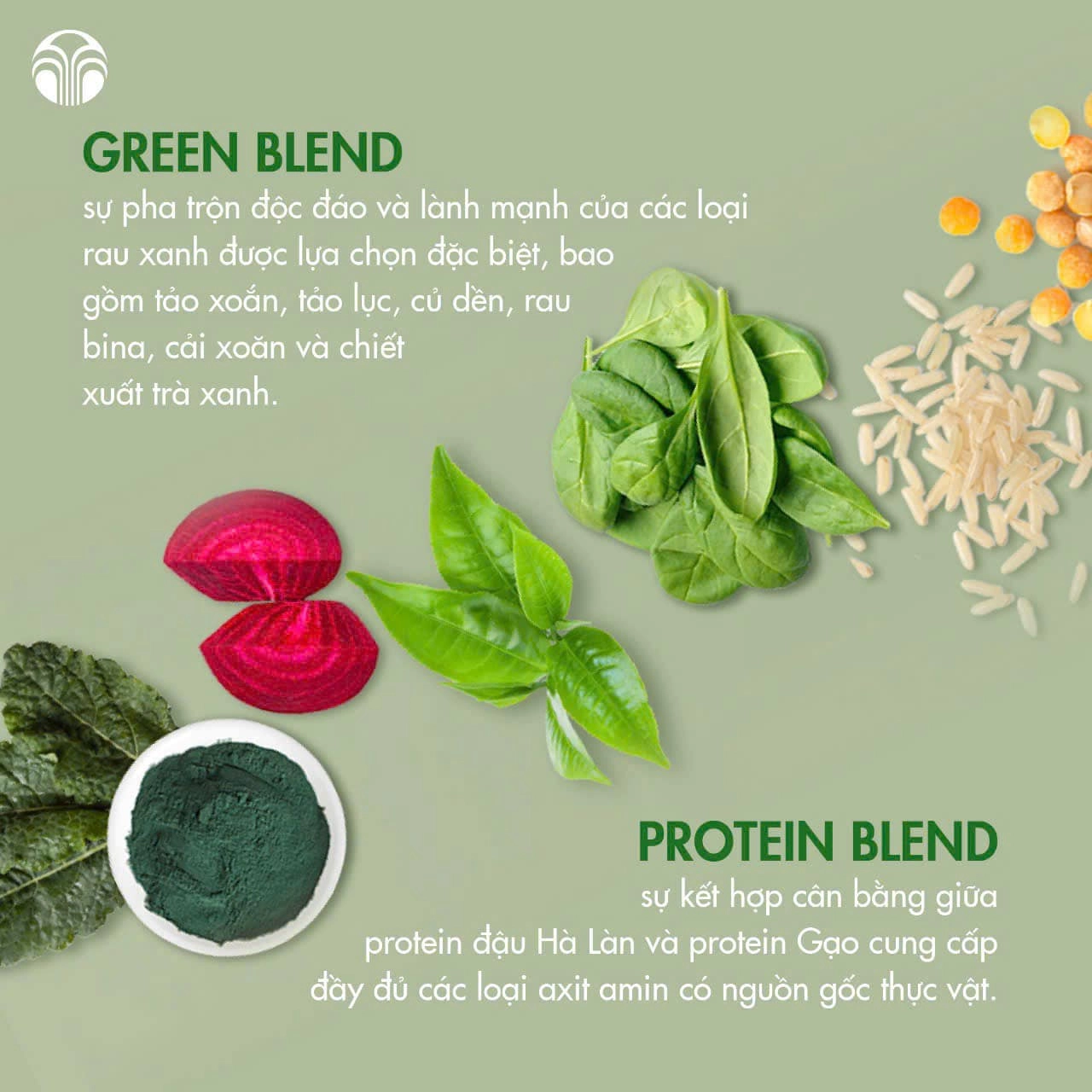 Thành phần của ageLOC TRME GreenShake