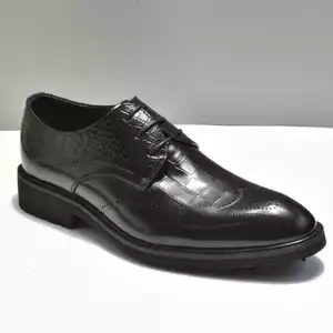 CS253