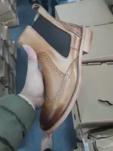 CS619