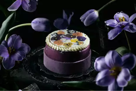 The Vagabond: Những người làm bánh lang thang tìm cái đẹp