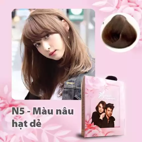 GỘI MÀU PHỦ BẠC - MÀU NÂU HẠT DẺ ( Hộp 30ml x 5 )