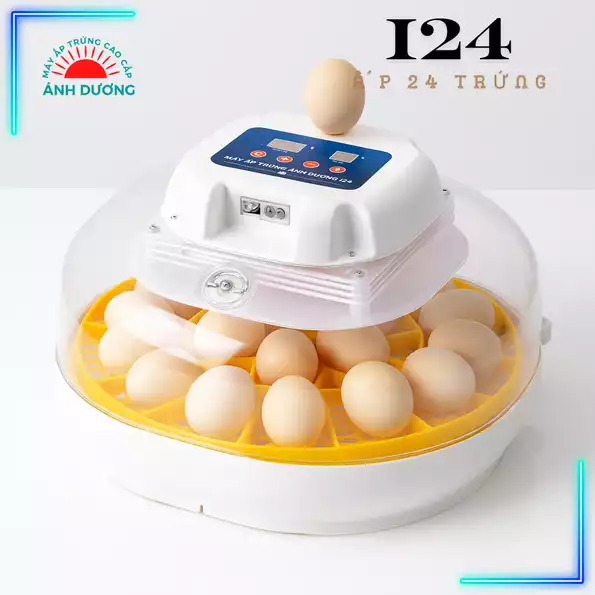 Product image - Máy Ấp Trứng I24