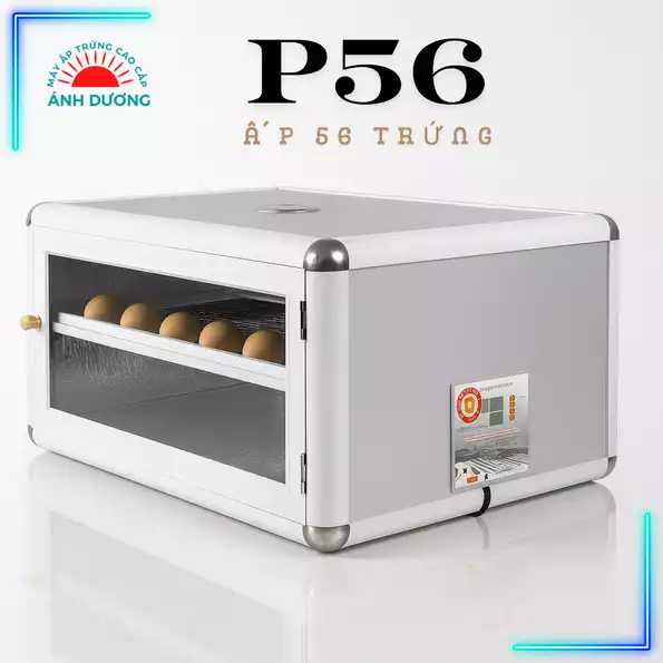 Product image - Máy Ấp Trứng P56