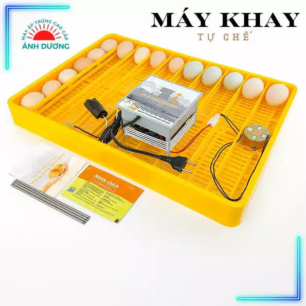 Product image - Máy Khay Nhựa
