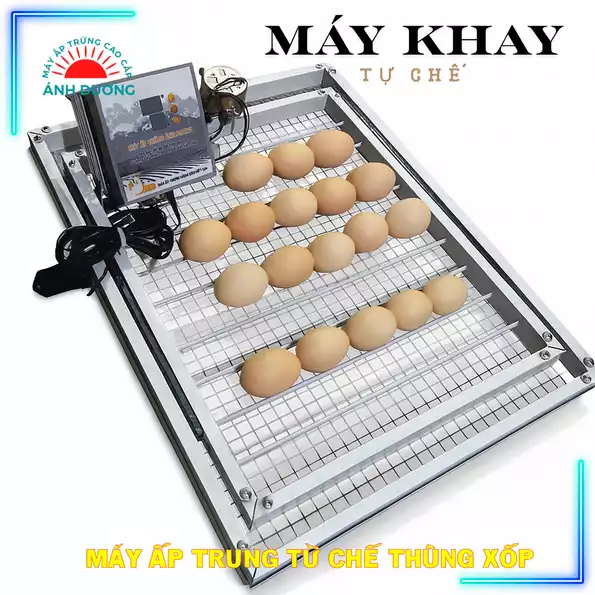 Product image - Máy Khay Nhôm 56 trứng