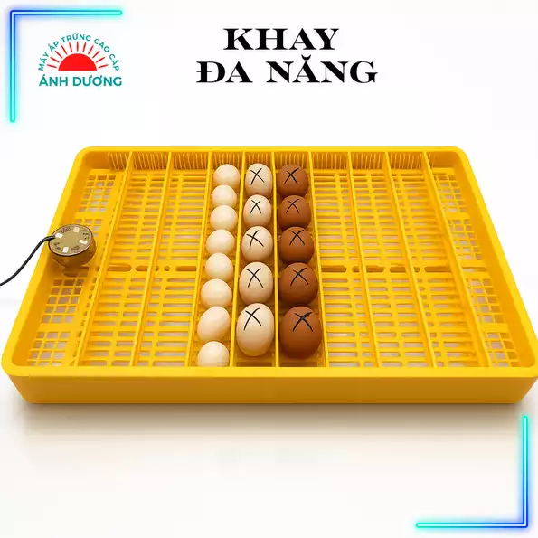 Product image - Khay Nhựa Đa Năng