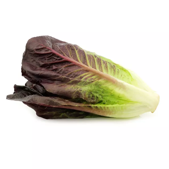 Product image - A40 - Hạt giống Xà Lách giòn lá dài Roma - Tím