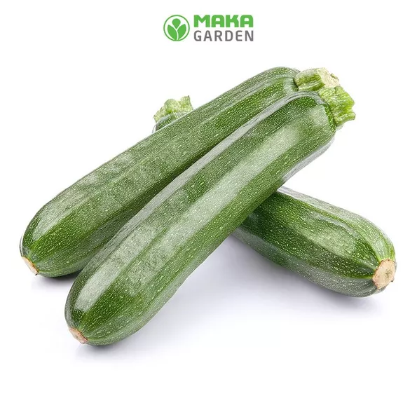 Product image - B15 - Hạt giống Bí Ngòi siêu quả F1