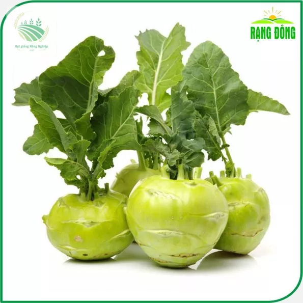 Product image - C03 - Hạt giống Su Hào F1