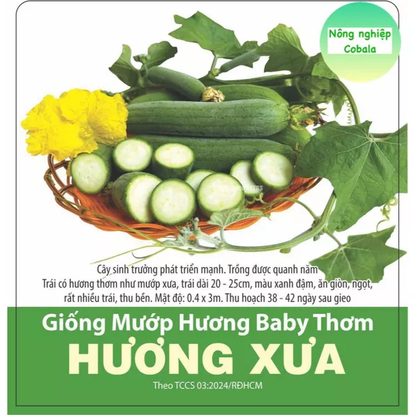 Product image - B50 - Hạt giống Mướp Hương Baby thơm HƯƠNG XƯA F1