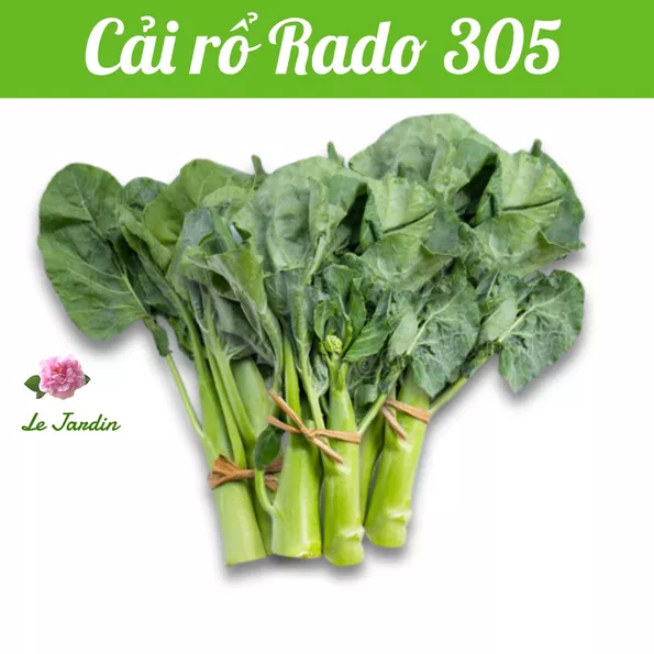 Product image - A12 - Hạt hạt Cải Làn Đùi Gà F1 (Cải Rổ)