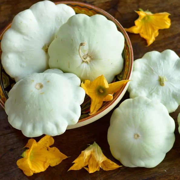 Product image - B84 - Hạt giống Bí Ngòi Đĩa Bay F1