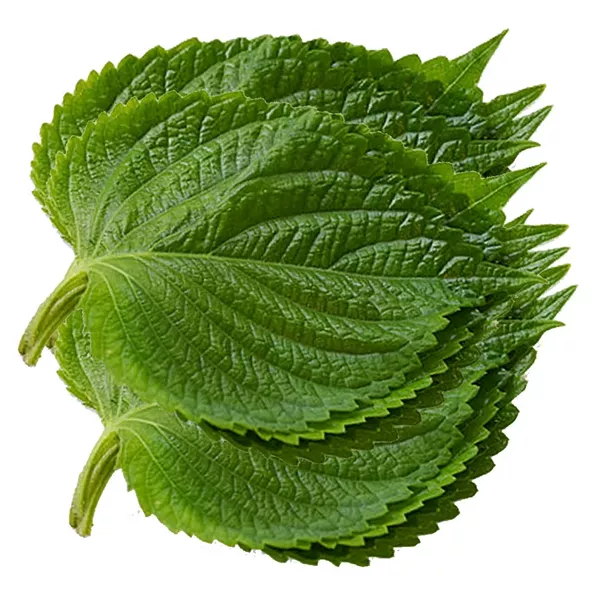 Product image - E06 - Hạt giống Lá Mè Hàn Quốc F1 (Lá Kim)