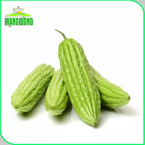 Product image - B04 - Hạt giống Khổ Qua Trái Dài F1 - Mướp Đắng Lai F1