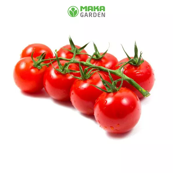 Product image - B27 - Hạt giống Cà Chua F1