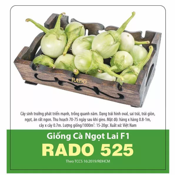 Product image - B31 - Hạt giống Cà Ngọt F1
