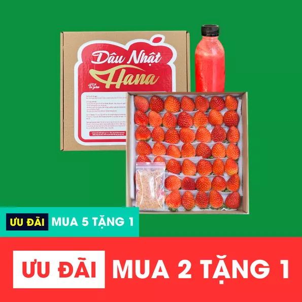 Product image - Dâu Nhật Hana