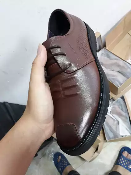 CS659