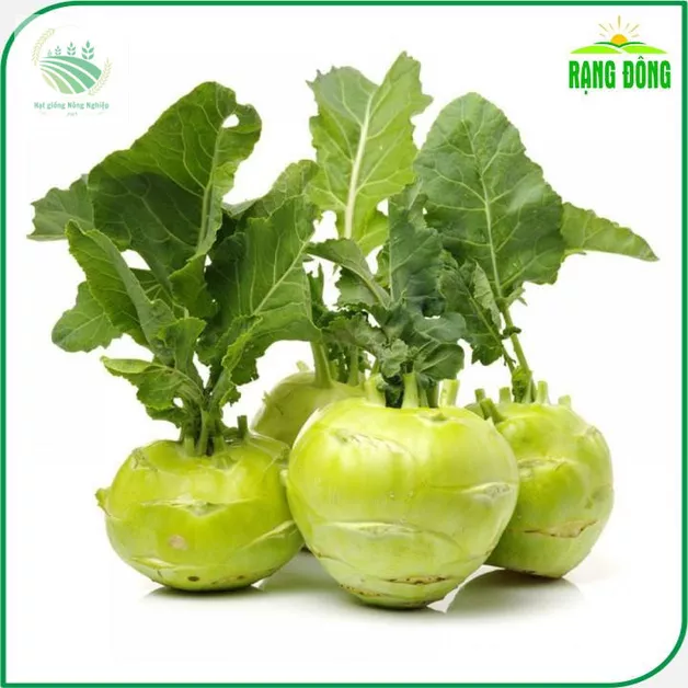 Product image - C03 - Hạt giống Su Hào F1