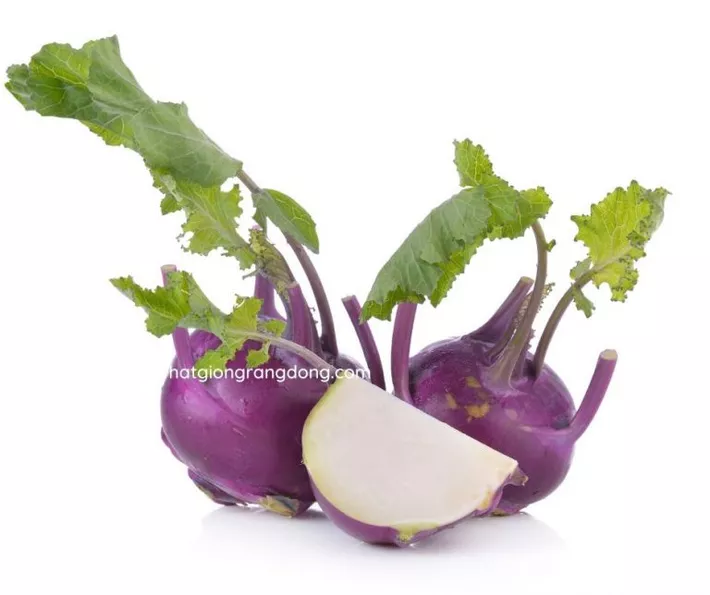 Product image - C04 - Hạt giống Su Hào Tím F1