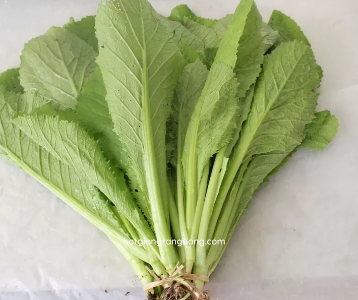 Product image - A11 - Hạt giống Cải Bẹ Xanh Mỡ F1