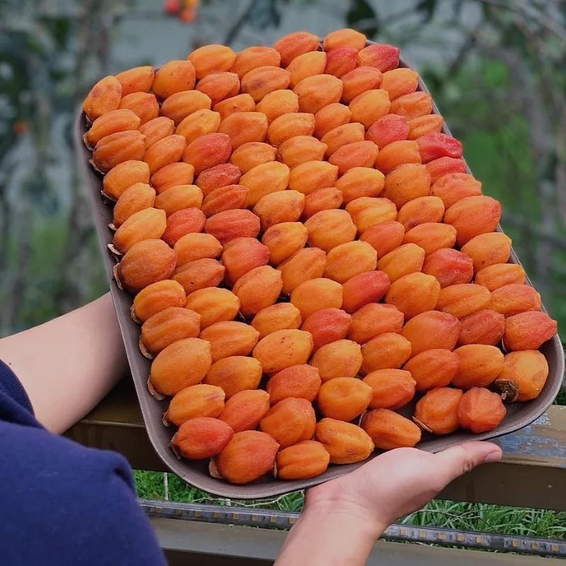 市田ガキ hồng treo gió Hồng treo gió Hoshigaki - Size lớn - 500gr - Hồng treo gió