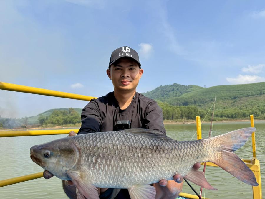 Bài mồi câu cá trôi LK Hoà