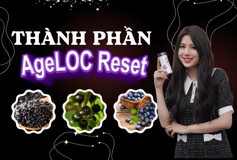 Thành Phần Của Ageloc Reset Nuskin