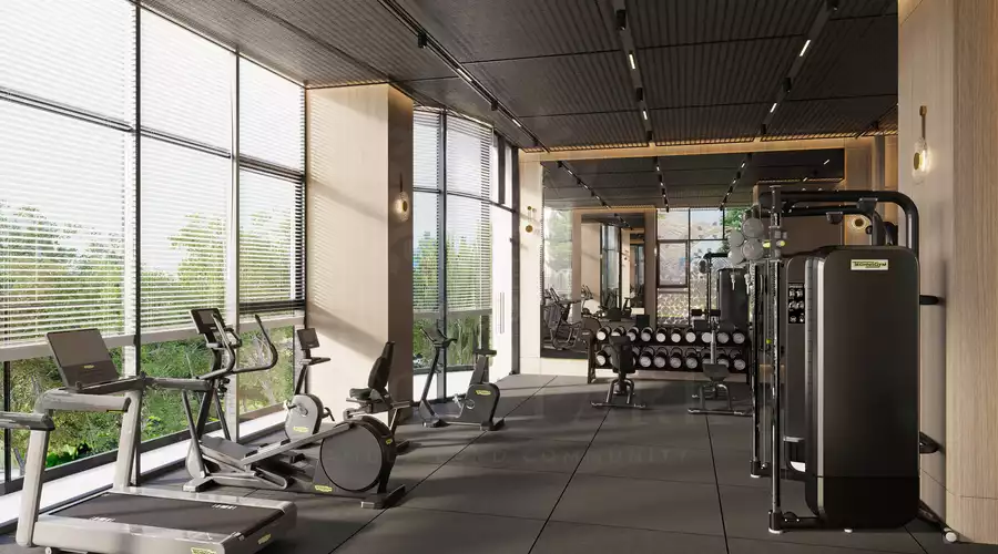 gym Room