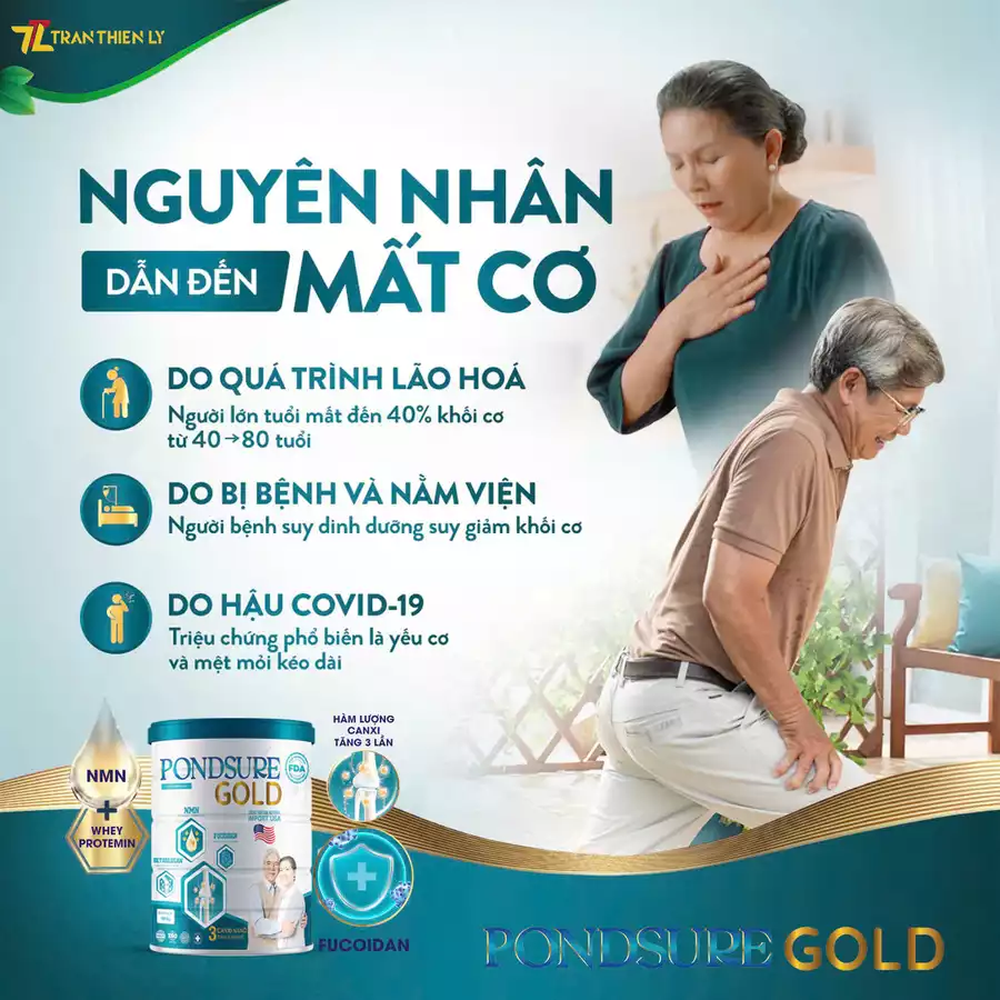 Nguyên Nhân Và Giải Pháp Hiệu Quả Cho Tình Trạng Mất Cơ Ở Người Lớn Tuổi