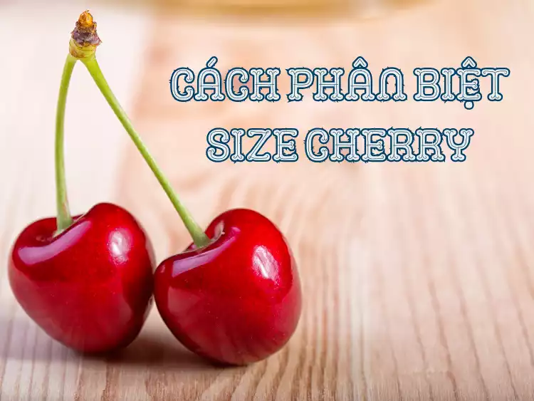 Cách phân biệt size Cherry - Cách chọn Cherry ngon theo size