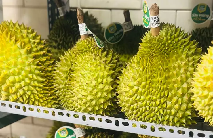 Kinh nghiệm lựa chọn sầu riêng Musang King ngon