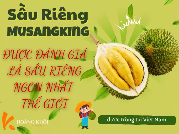 Sầu riêng Musang King là gì? Tại sao được mệnh danh là sầu riêng ngon nhất thế giới.