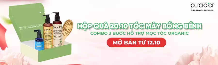 BannerWeb