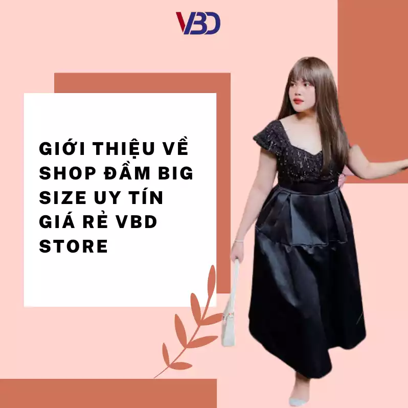 Giới thiệu về shop đầm big size uy tín giá rẻ VBD Store