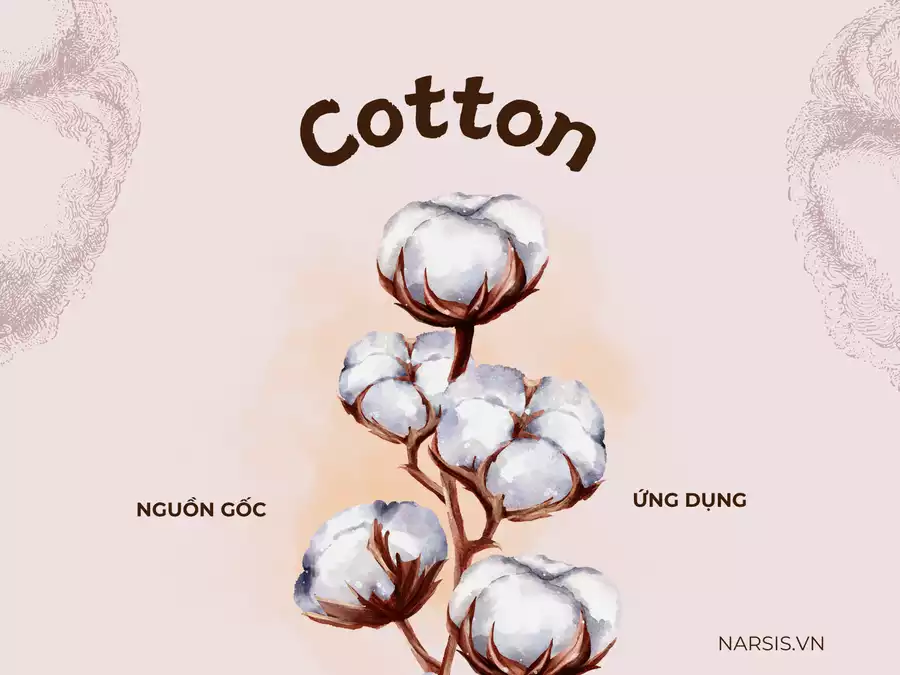 Vải Cotton: Nguồn Gốc, Ứng Dụng Và Sản Phẩm An Toàn Từ Narsis.vn