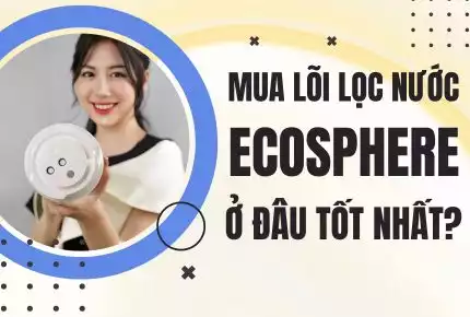 Mua Lõi Lọc Nước Ecosphere Ở Đâu Uy Tín, Giá Tốt?