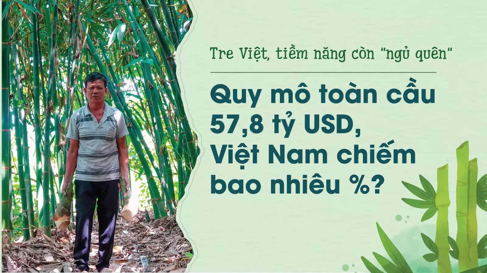 Công dụng của cây tre đối với người Việt Nam