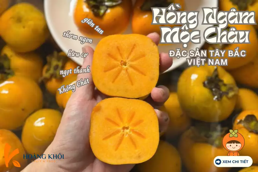 Hồng NGâm Tây Bắc